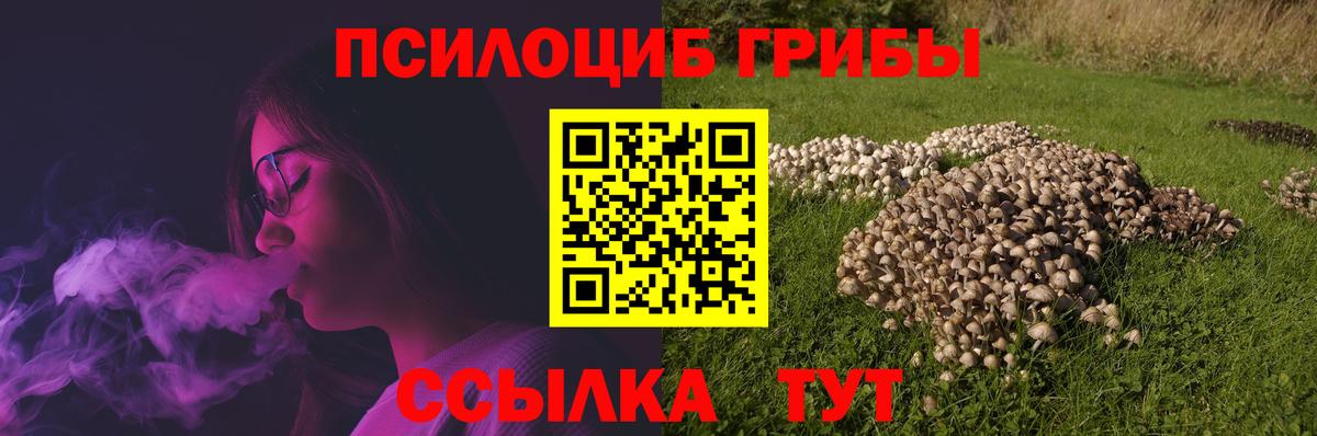 Галлюциногенные грибы MAGIC MUSHROOMS  Псилоцибиновые грибы мицелий  Вход с VPN  Нарткала 